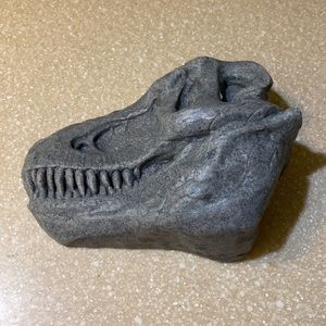 Plastic reptile hide box T-Rex skeleton